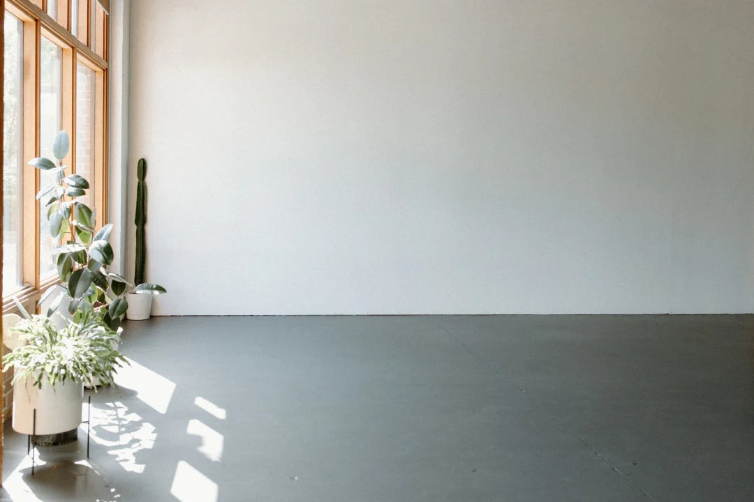 Mini Photoshoot Session - $250