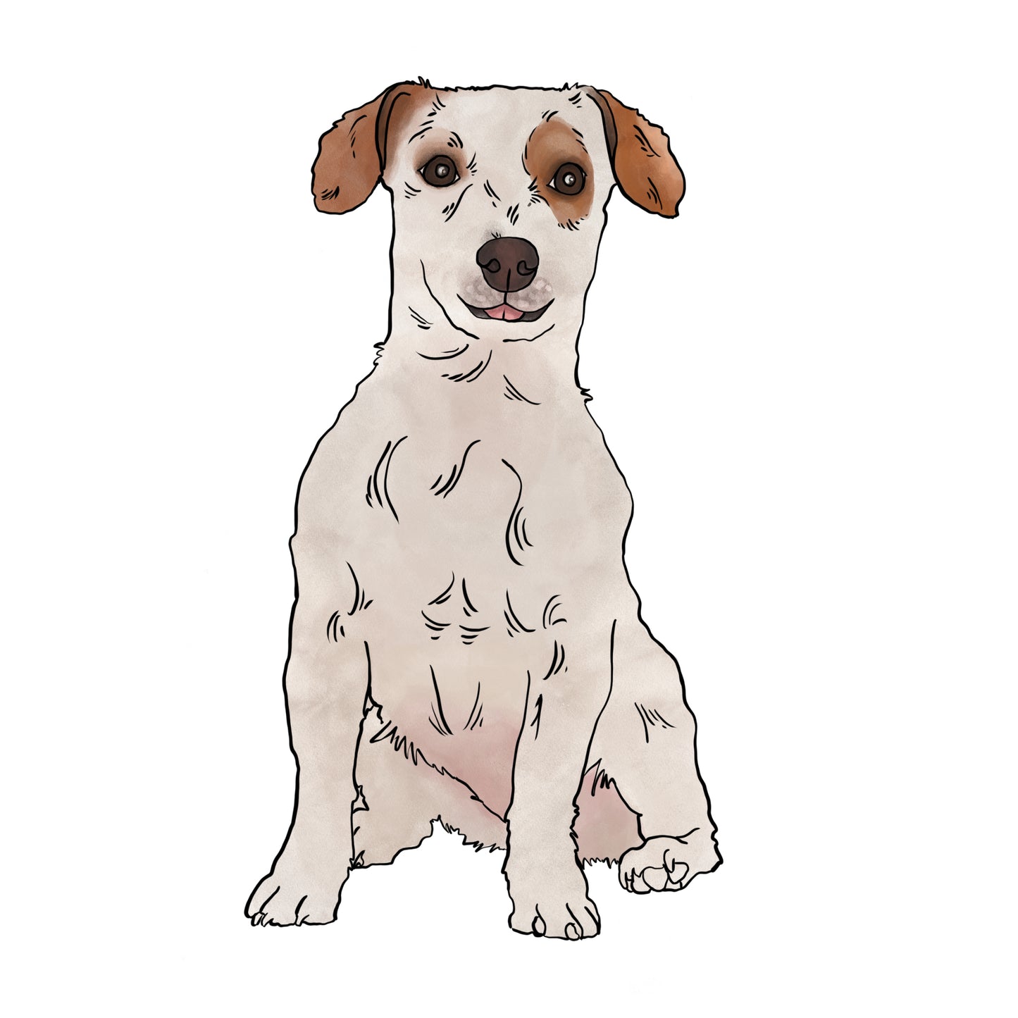 Custom Dog Illustration