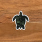 Turtle Sticker - Matte