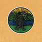 Bigfoot (Large) Sticker