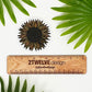 A zentangle inspired sunflower illustration made into a die-cut matte sticker. Laying on a white background above a "2Twelve Design" ruler, surrounded by palm leaves.